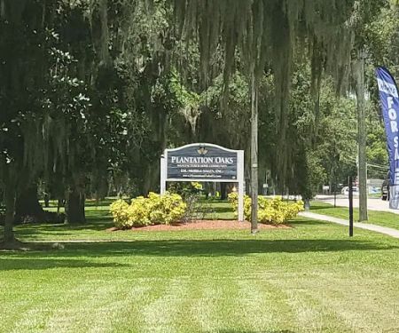 Plantation Oaks