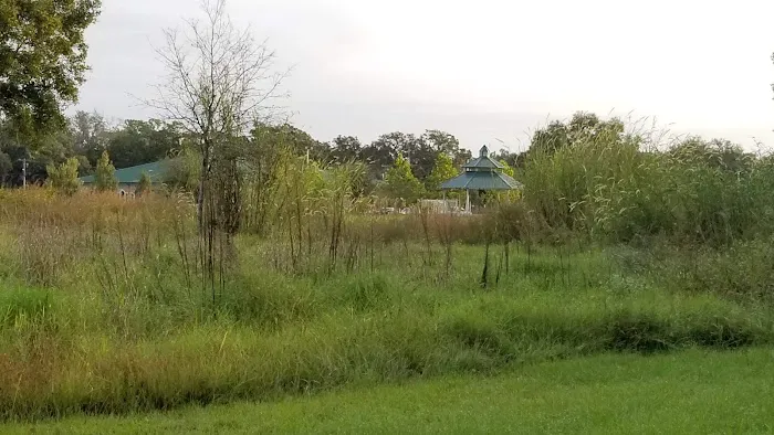 Plantation Oaks Picture 7