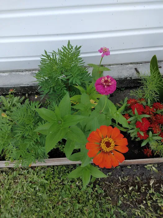 Casa Verde Picture 6