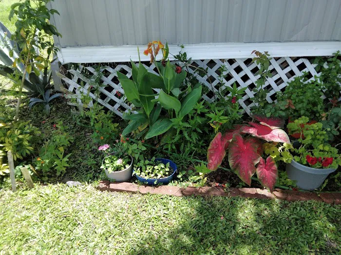 Casa Verde Picture 5