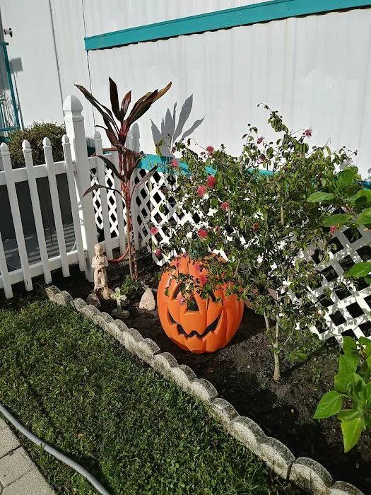 Casa Verde Picture 4