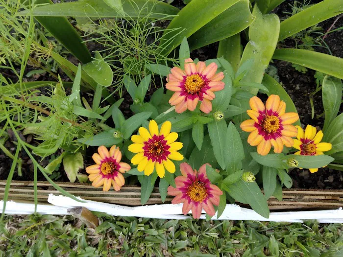 Casa Verde Picture 10