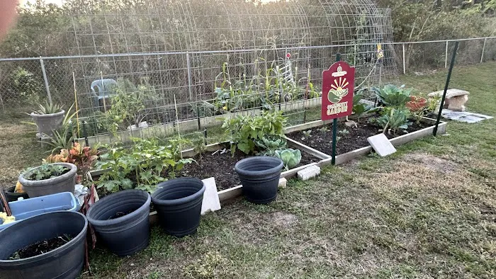 Windward Knoll Picture 4