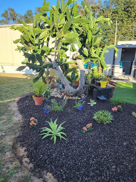 Windward Knoll Picture 10