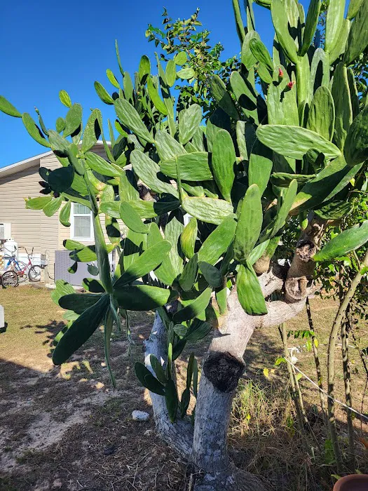 Windward Knoll Picture 6