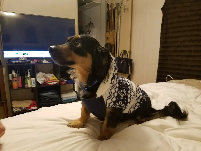 Windward Knoll Picture 7