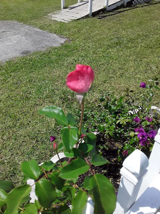 Davpam Mobile Home Community Picture 7