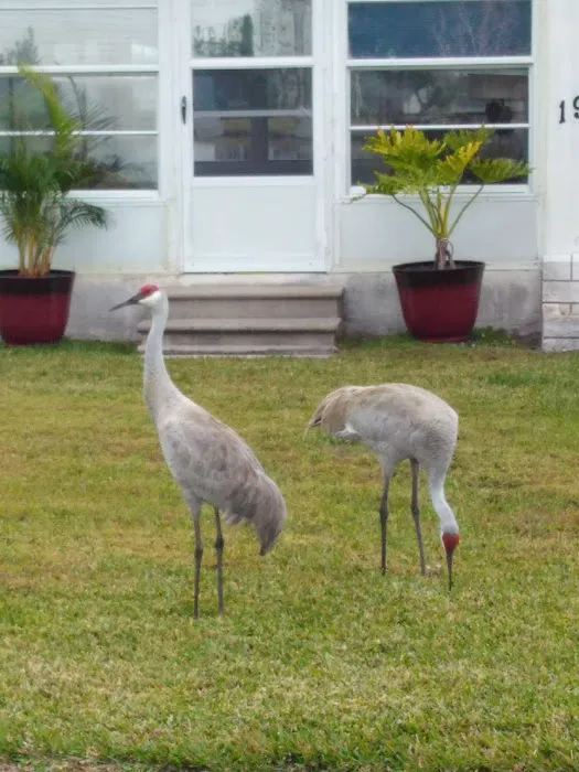 Lakewood Village Picture 10