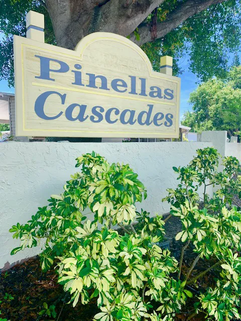 Pinellas Cascades Mobile Home Community Picture 4