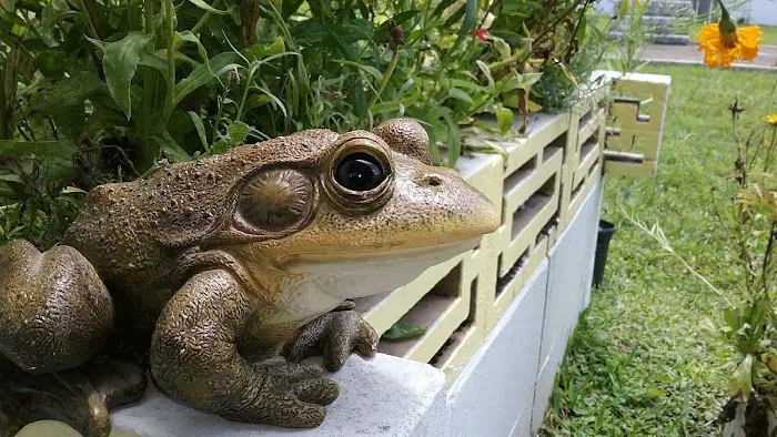 Park Ridge Residence Association Picture 2