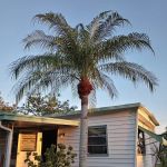 FairHaven Mobile Home Park