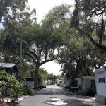 seminole mobile home park