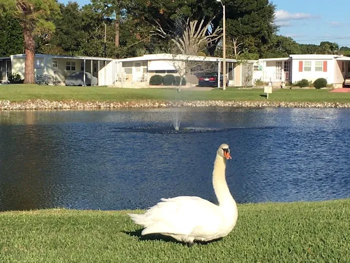 Club Chalet Mobile Home Park Resident owned Picture 4
