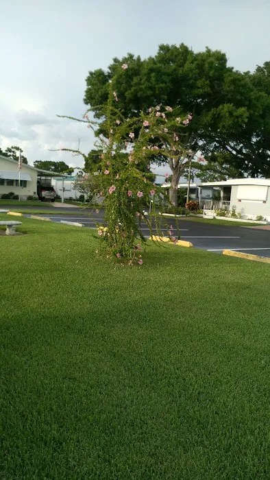 Club Chalet Mobile Home Park Resident owned Picture 5