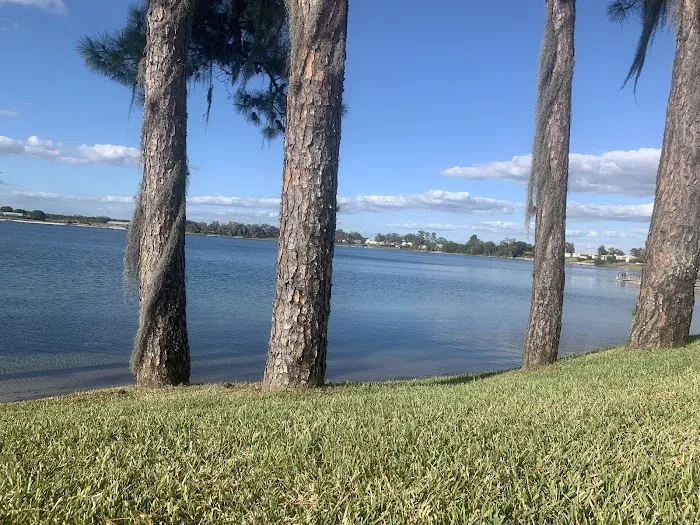 Mink Associates Picture 4