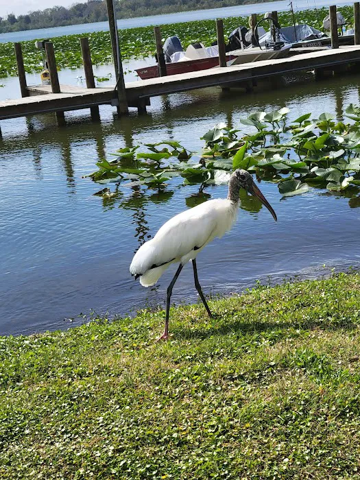 Lake Bonnet Village Picture 3