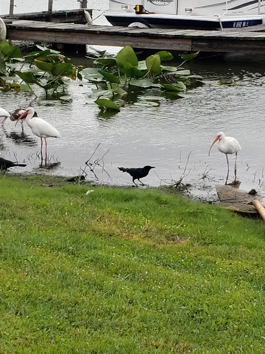 Lake Bonnet Village Picture 2
