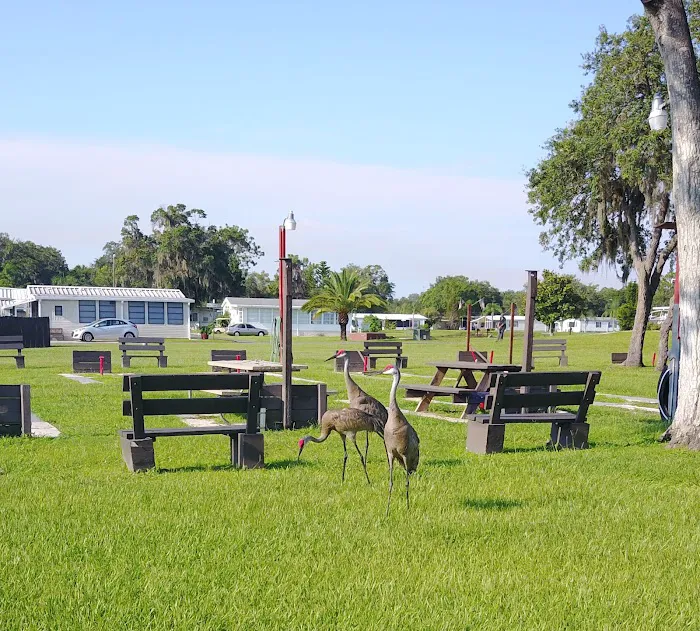 Rice Creek RV Resort Picture 3