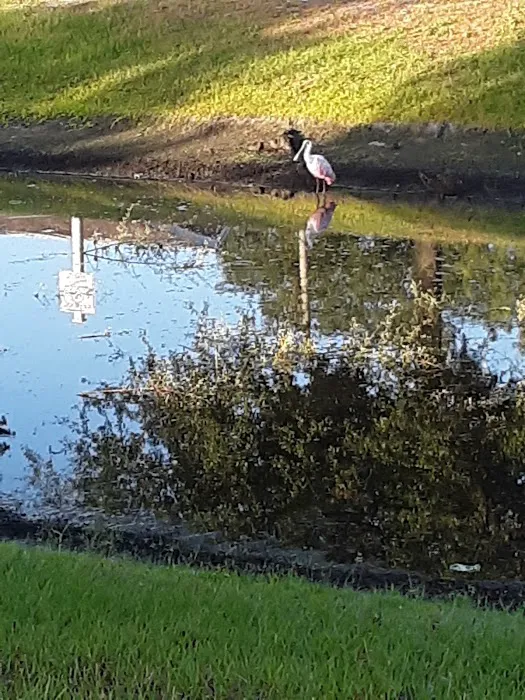 Bullfrog Creek Mobile Home Park Picture 3