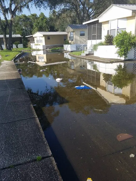 Bullfrog Creek Mobile Home Park Picture 5