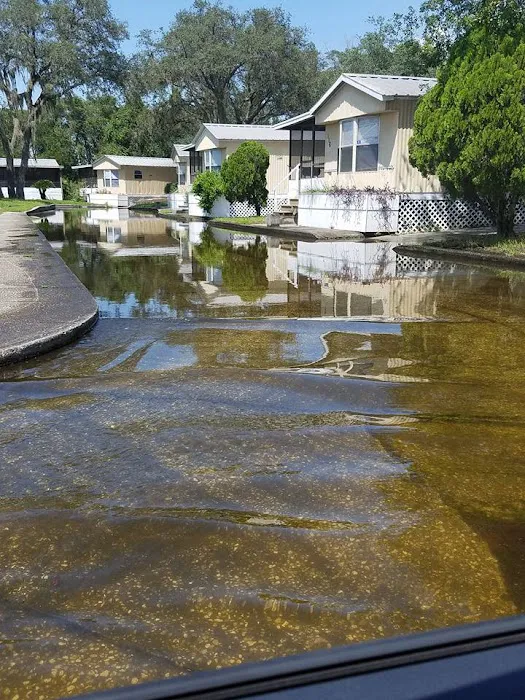 Bullfrog Creek Mobile Home Park Picture 6