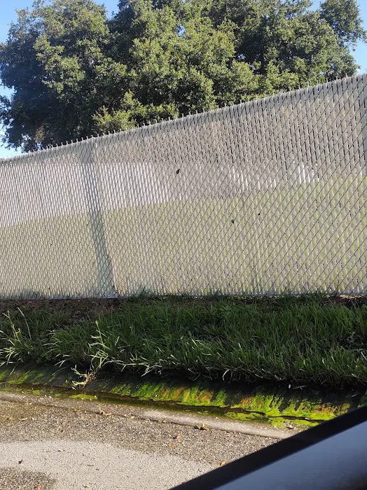 Alafia Riverfront Mobile Home Park Picture 3