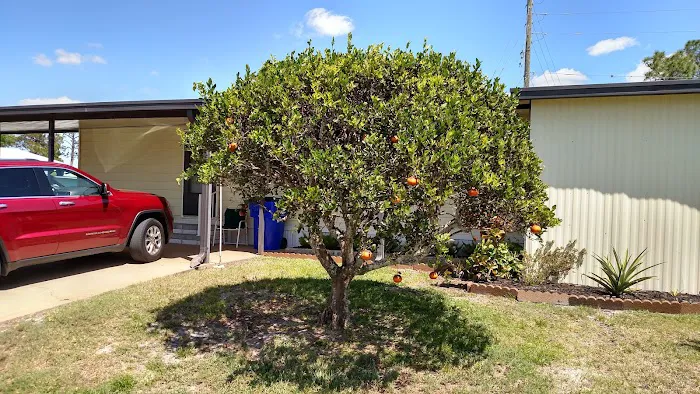 Colony Point Mobile Home Park Picture 1