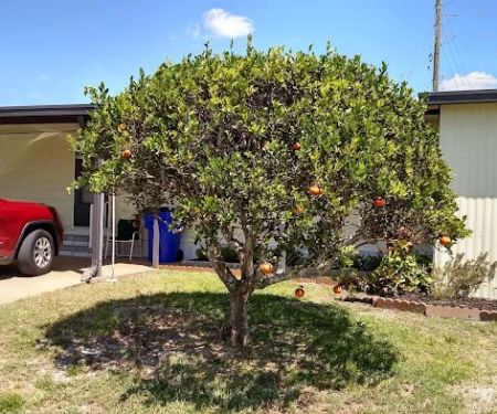 Colony Point Mobile Home Park