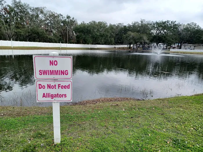 Southern Aire RV Resort Picture 4