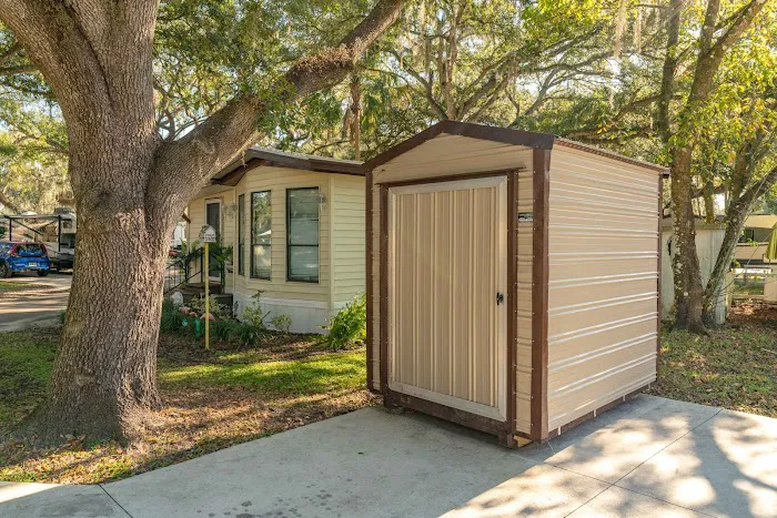 Spanish Main Picture 6