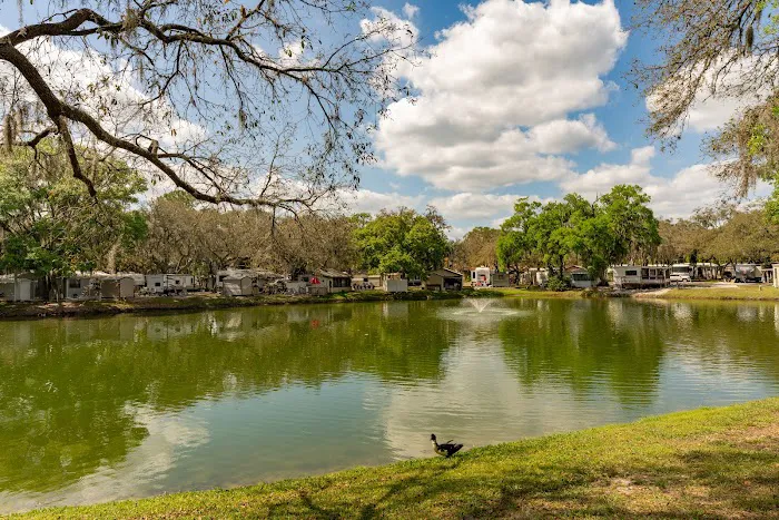 Spanish Main Picture 4