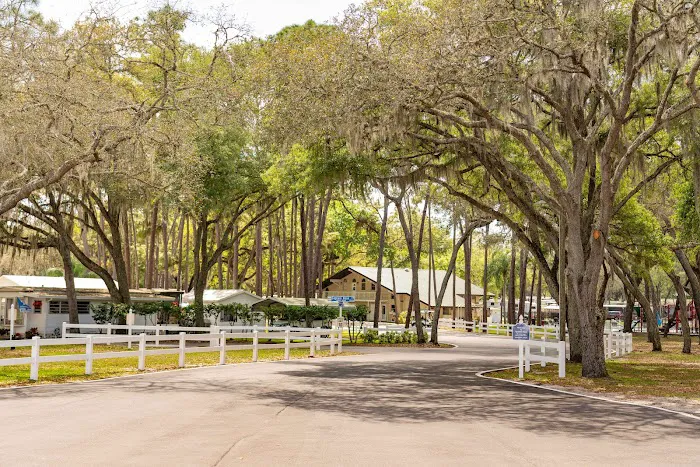 Spanish Main Picture 10