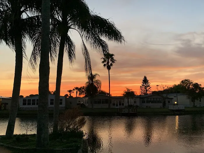 Vero Palm Estates Picture 4