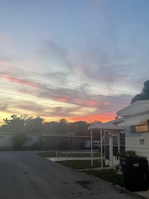 Sawgrass Lake Estates Picture 4