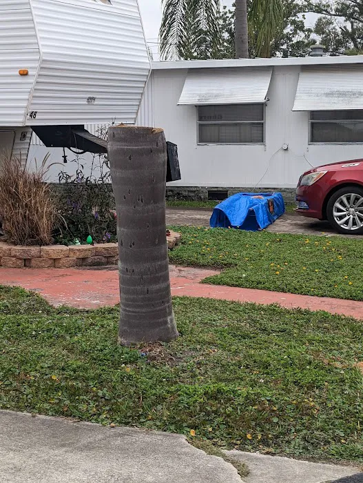 Mobile Manor MHP Picture 5