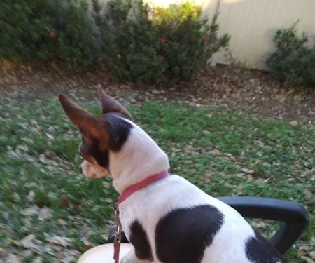 Lake Bonnett Village Associates