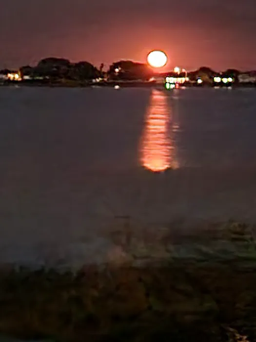 Dinner lake Haven Mobile Home Park Picture 5