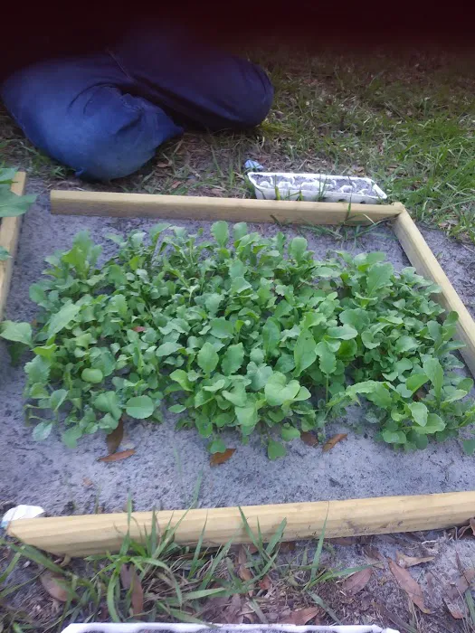 Terrace Crossings Picture 3