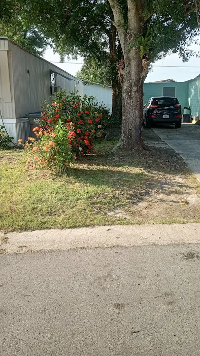 Alafia Mobile Plaza Picture 1