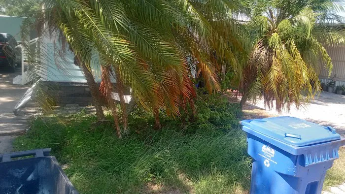 Alafia Mobile Plaza Picture 4