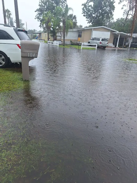 Eastwood Estates Picture 4