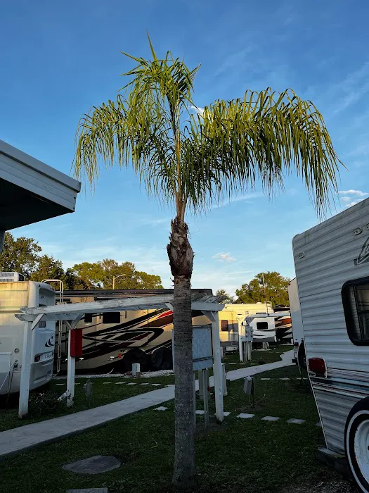 Park at Palm Grove Picture 5