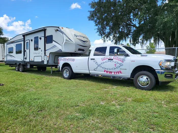 Palm River RV Park Picture 5