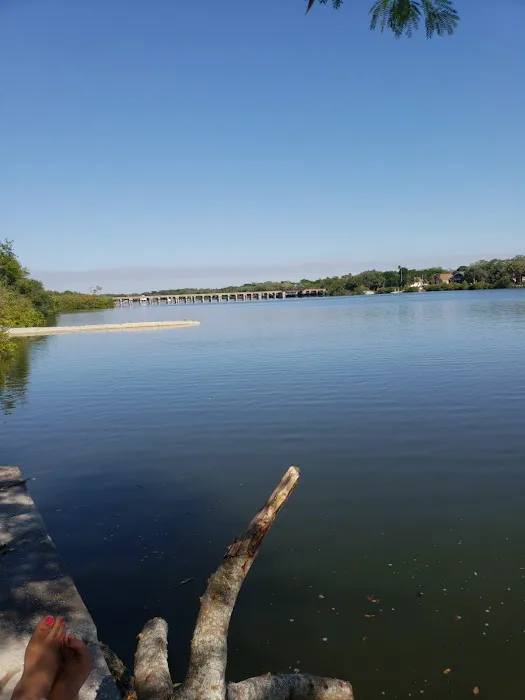 Palm River RV Park Picture 6