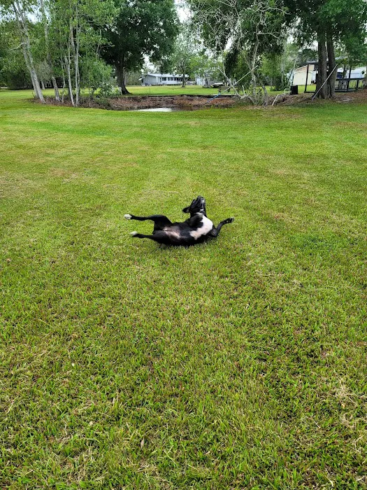 Sebring Gardens RV Park Picture 4