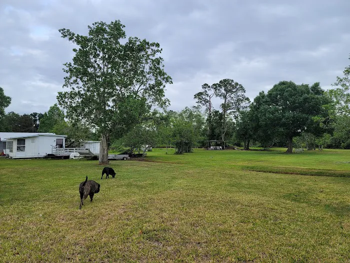 Sebring Gardens RV Park Picture 2