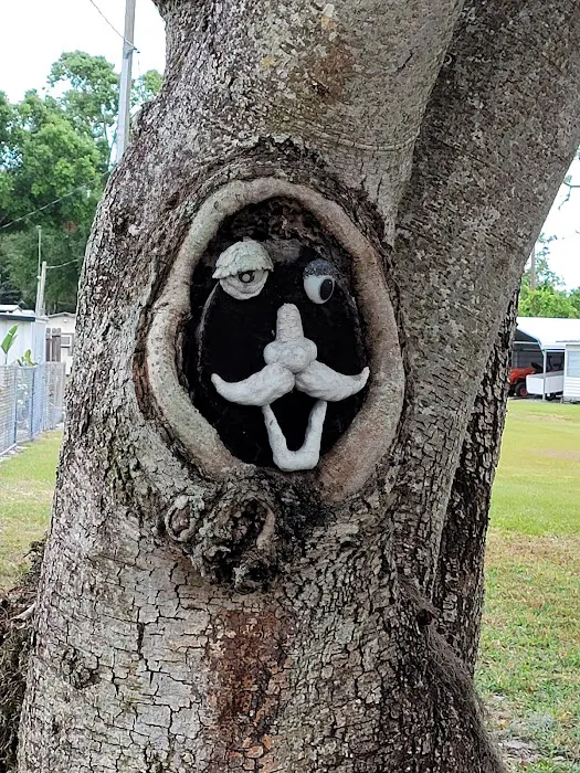 Sebring Gardens RV Park Picture 9