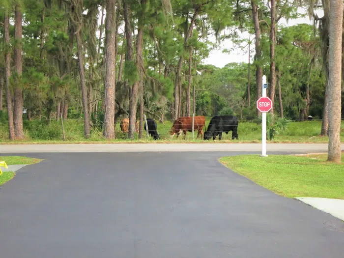 Woodhaven Estates Picture 7