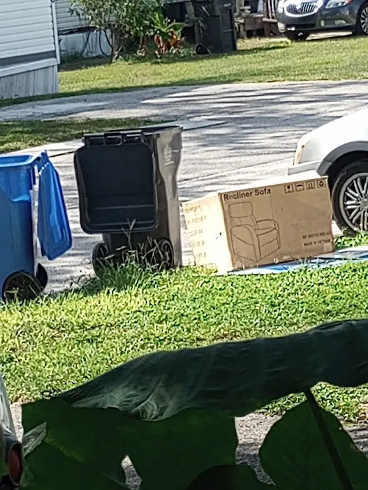 Paradise Village Tampa Picture 4