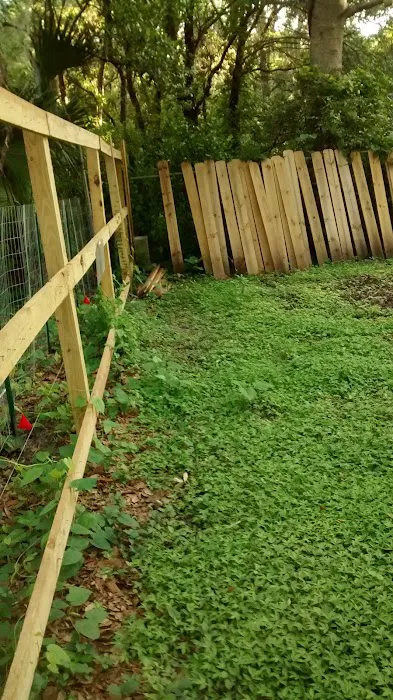 Paradise Village Tampa Picture 6